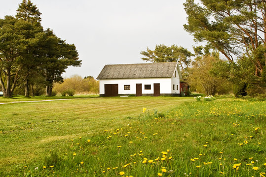 meadow and a traditional house 