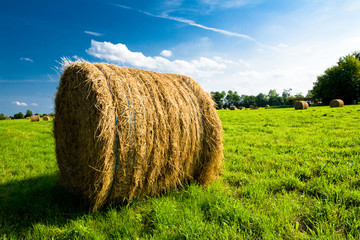 balot de foin dans un champ © Calzada
