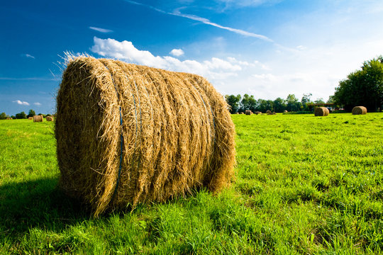 balot de foin dans un champ