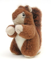red squirrel