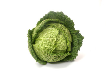 Cabbage isolated against white