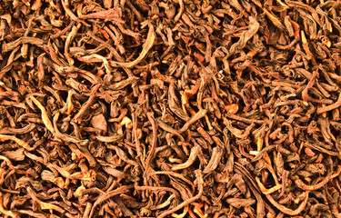 tobacco closeup