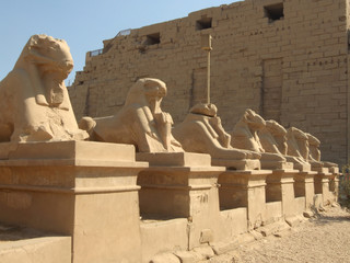 Statue of rams guarding included in Karnak temple