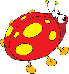 Ladybug