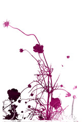 flower abstract textures and backgrounds