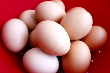 fresh eggs in a colinder ready for washing