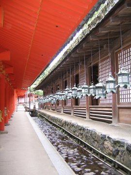 Japanese shrine lanterns jjjin Nara