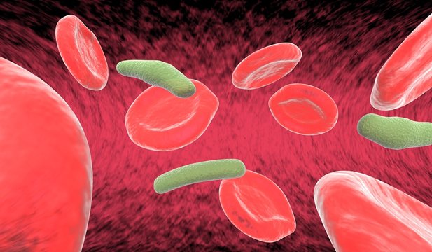 8 red blood cells and 3 bacteria floating by in artery.