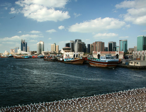 Dubai skyline with river and seagulls