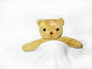 teddy orsetto &egrave; malato