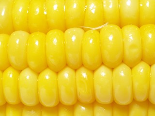 macro of corn