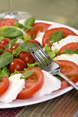 A macro shot of a fresh caprese salad