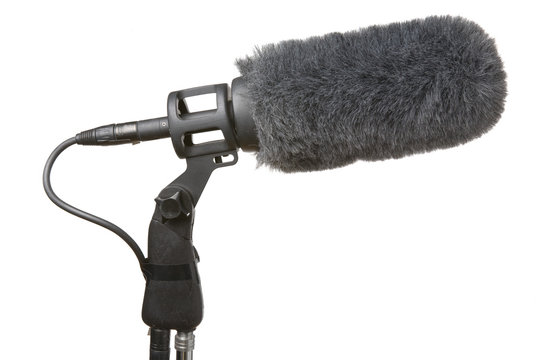 Microphone used in TV and film production