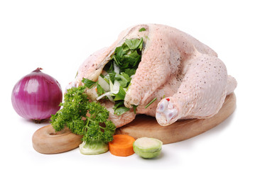 Stuffed turkey on white background