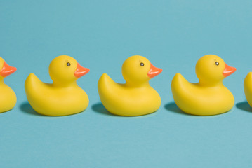 rubber ducks in a row