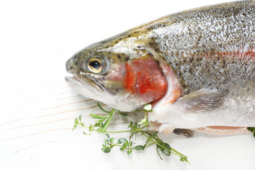 Fresh rainbow trout with thyme and rosemary