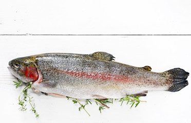 Fresh trout on weathered white timber