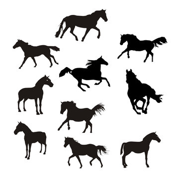 siluetas de caballos en vector