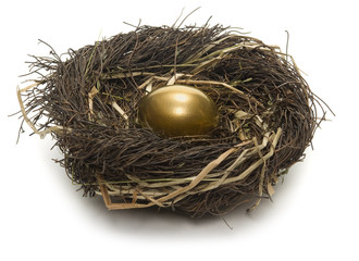 Golden egg inside a nest on white background