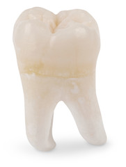 wisdom tooth