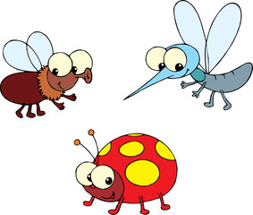 Ladybug, fly and mosquito 