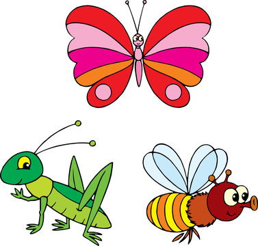 Butterfly, bee and grasshopper 