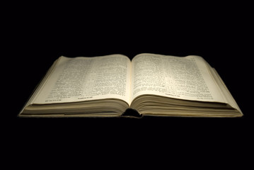 Antique Bible 