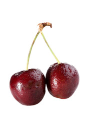 two cherry with drops isolated isolated on white macro