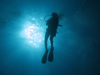 Diver 102