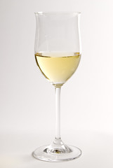 A Glass of White Wine