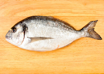 Sea bream fish on board