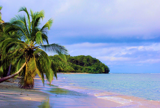 pura vida 3