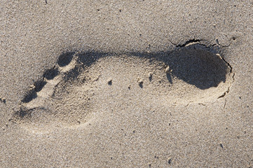 A photo of a footprint in the sand