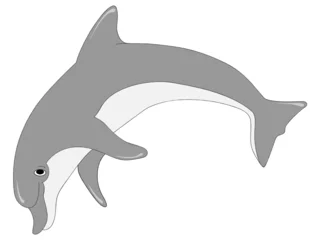 Türaufkleber Delfin isoliert © djdarkflower