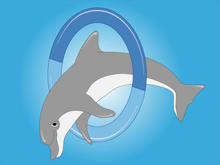 Le dauphin saute à travers le ring
