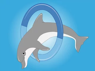 Photo sur Aluminium Dauphins Le dauphin saute à travers le ring