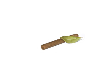 Sigaro con foglia (Cuban Cigar)