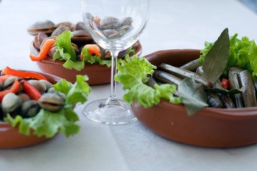 fresh clams, cockles and razor-shells, ready to cook