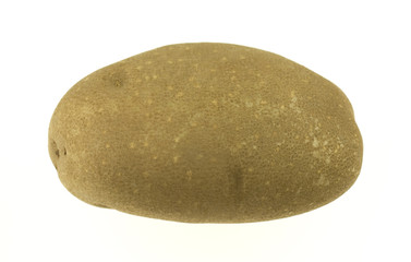 Russet Baking Potato 