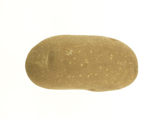 Russet Baking Potato 