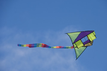 Kite