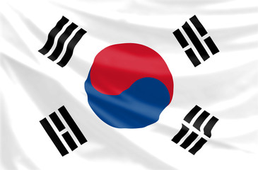 rippled south korean flag flapping in the wind