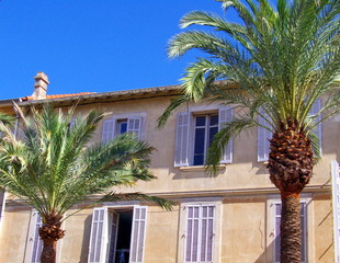 Palmiers devant une villa au soleil,  France