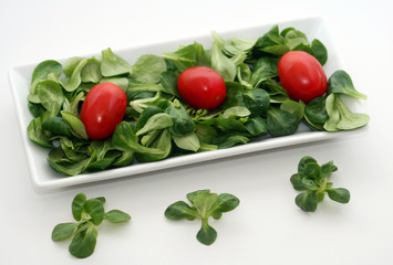 Feldsalat