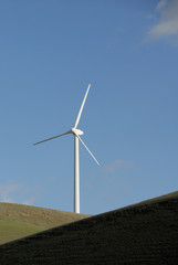 Stark White Electrical Power Generating Wind Turbine 