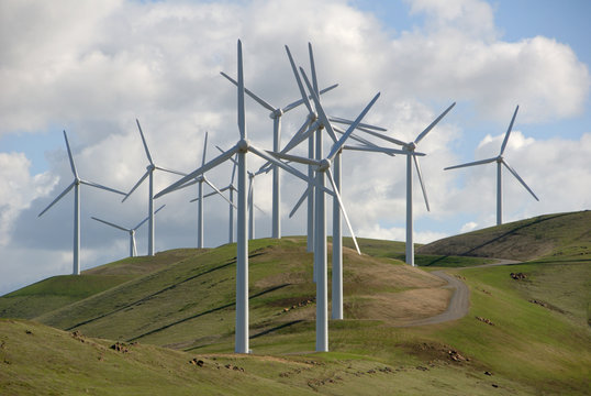 Cluster of Electrical Power Generating Wind Turbine