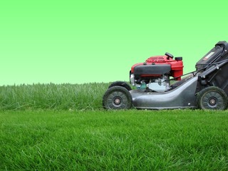 lawn care