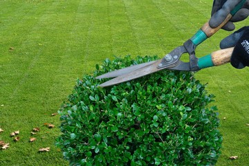 gardening