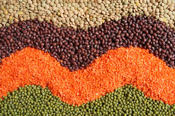 Cuisine choice. Cooking ingredients. Beans, peas, lentils.