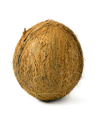 Whole coconut on white background